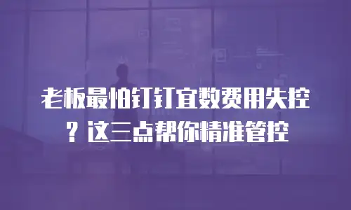 老板最怕钉钉宜数费用失控？这三点帮你精准管控