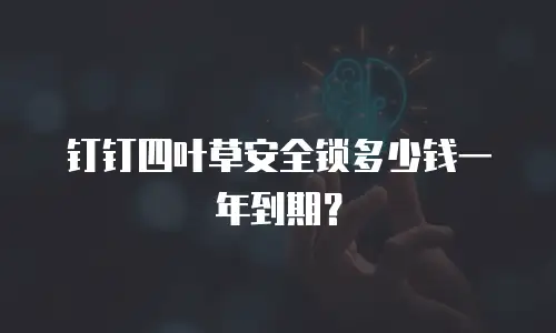 钉钉四叶草安全锁多少钱一年到期？