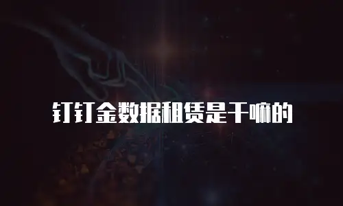 钉钉金数据租赁是干嘛的