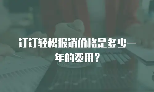 钉钉轻松报销价格是多少一年的费用？