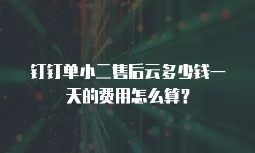 钉钉单小二售后云多少钱一天的费用怎么算？