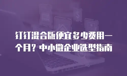 钉钉混合版便宜多少费用一个月？中小微企业选型指南
