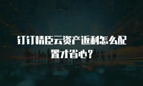 钉钉精臣云资产返利怎么配置才省心？