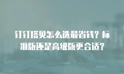 钉钉搭贝怎么选最省钱？标准版还是高级版更合适？