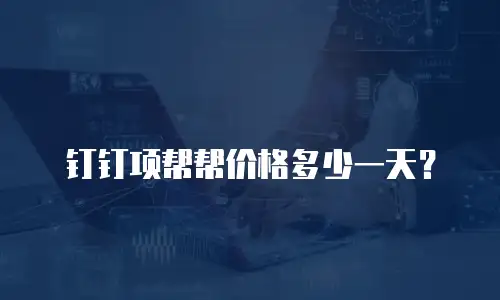 钉钉项帮帮价格多少一天？