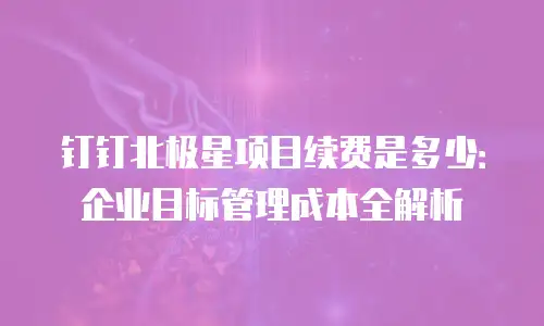 钉钉北极星项目续费是多少：企业目标管理成本全解析