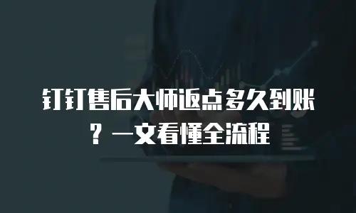 钉钉售后大师返点多久到账？一文看懂全流程