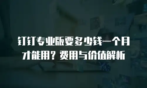 钉钉专业版要多少钱一个月才能用？费用与价值解析