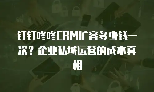 钉钉咚咚CRM扩容多少钱一次？企业私域运营的成本真相
