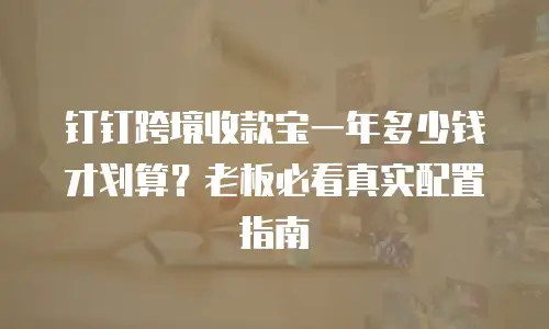 钉钉跨境收款宝一年多少钱才划算？老板必看真实配置指南