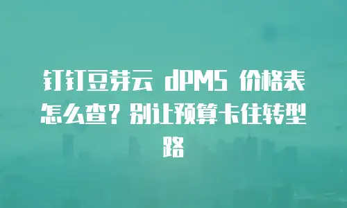 钉钉豆芽云 dPMS 价格表怎么查？别让预算卡住转型路