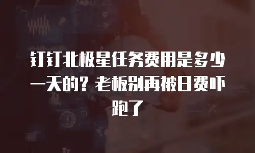 钉钉北极星任务费用是多少一天的？老板别再被日费吓跑了