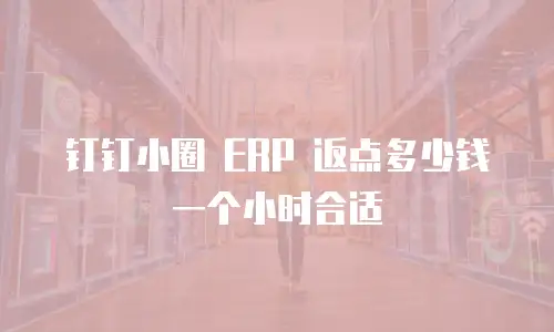 钉钉小圈 ERP 返点多少钱一个小时合适