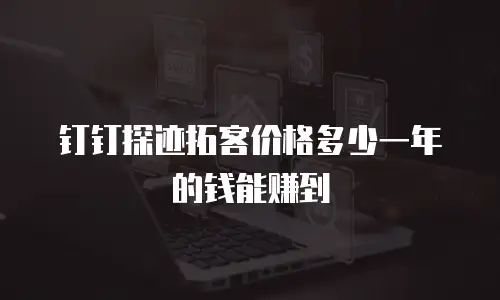 钉钉探迹拓客价格多少一年的钱能赚到
