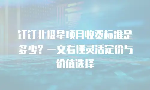 钉钉北极星项目收费标准是多少？一文看懂灵活定价与价值选择