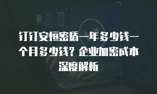 钉钉安恒密盾一年多少钱一个月多少钱？企业加密成本深度解析