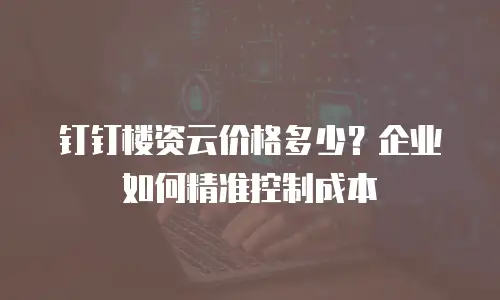 钉钉楼资云价格多少？企业如何精准控制成本