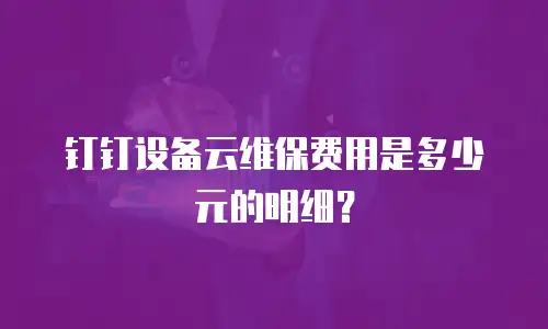 钉钉设备云维保费用是多少元的明细？