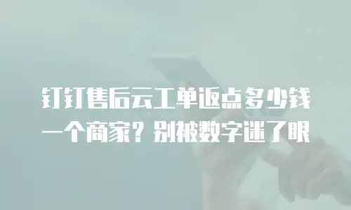 钉钉售后云工单返点多少钱一个商家？别被数字迷了眼