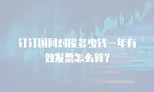 钉钉国网对接多少钱一年有效发票怎么算？