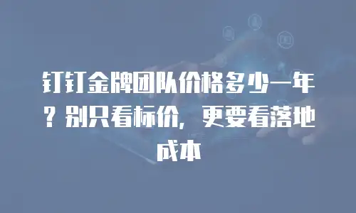 钉钉金牌团队价格多少一年？别只看标价，更要看落地成本