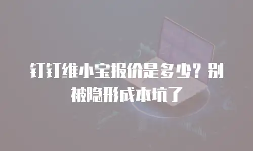 钉钉维小宝报价是多少？别被隐形成本坑了