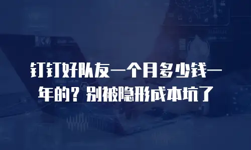 钉钉好队友一个月多少钱一年的？别被隐形成本坑了