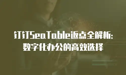 钉钉SeaTable返点全解析：数字化办公的高效选择
