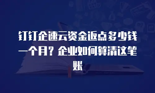 钉钉企速云资金返点多少钱一个月？企业如何算清这笔账