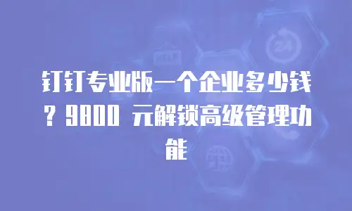 钉钉专业版一个企业多少钱？9800 元解锁高级管理功能