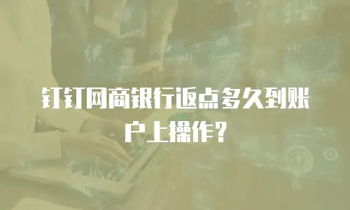 钉钉网商银行返点多久到账户上操作？