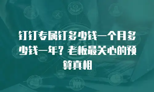 钉钉专属钉多少钱一个月多少钱一年？老板最关心的预算真相
