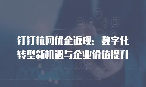 钉钉杭网优企返现：数字化转型新机遇与企业价值提升
