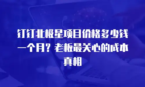 钉钉北极星项目价格多少钱一个月？老板最关心的成本真相