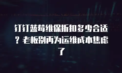 钉钉蓝莓维保折扣多少合适？老板别再为运维成本焦虑了