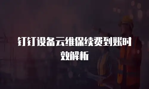 钉钉设备云维保续费到账时效解析