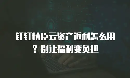 钉钉精臣云资产返利怎么用？别让福利变负担
