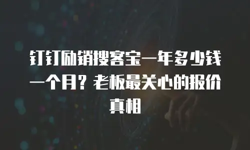 钉钉励销搜客宝一年多少钱一个月？老板最关心的报价真相
