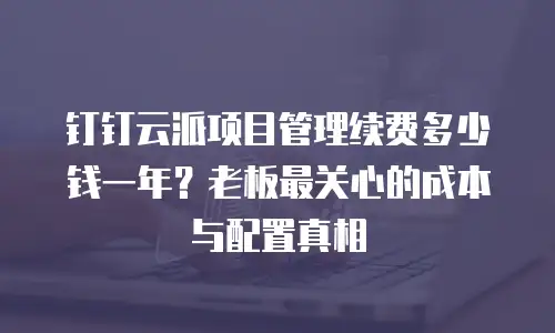 钉钉云派项目管理续费多少钱一年？老板最关心的成本与配置真相