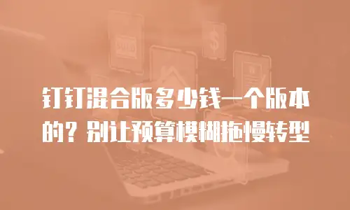 钉钉混合版多少钱一个版本的？别让预算模糊拖慢转型