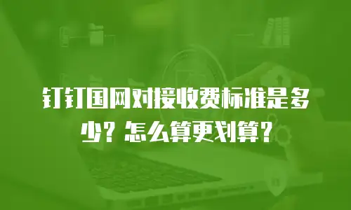 钉钉国网对接收费标准是多少？怎么算更划算？
