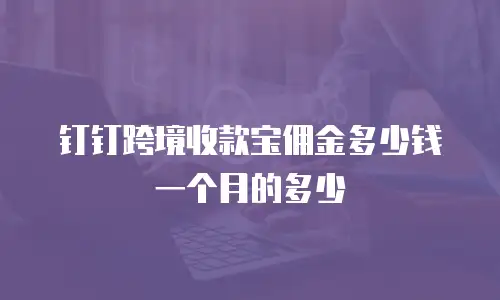 钉钉跨境收款宝佣金多少钱一个月的多少