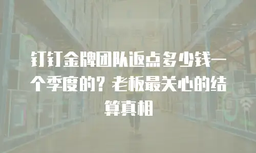 钉钉金牌团队返点多少钱一个季度的？老板最关心的结算真相