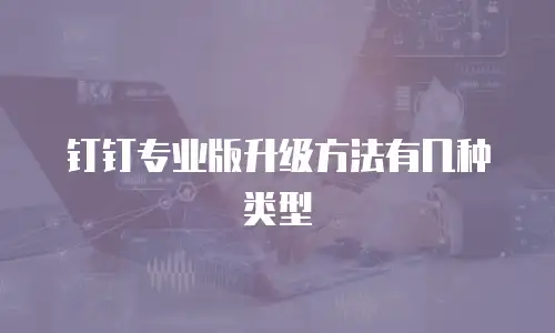 钉钉专业版升级方法有几种类型