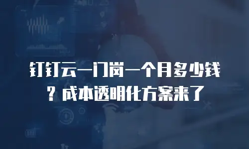 钉钉云一门岗一个月多少钱？成本透明化方案来了