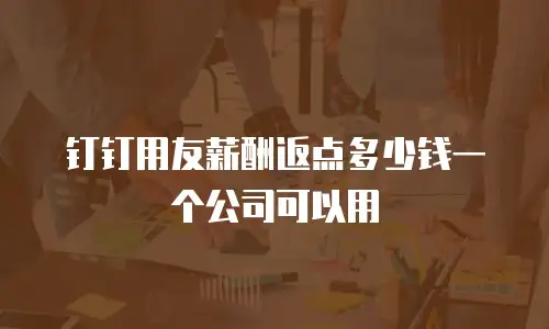 钉钉用友薪酬返点多少钱一个公司可以用