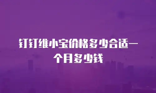 钉钉维小宝价格多少合适一个月多少钱