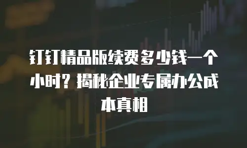 钉钉精品版续费多少钱一个小时？揭秘企业专属办公成本真相