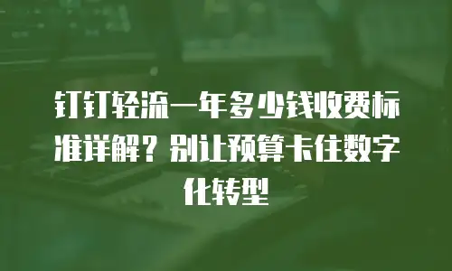 钉钉轻流一年多少钱收费标准详解？别让预算卡住数字化转型
