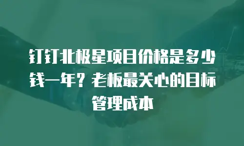 钉钉北极星项目价格是多少钱一年？老板最关心的目标管理成本